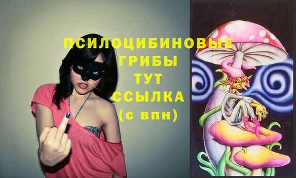 герыч Алексин