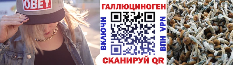 Галлюциногенные грибы Magic Shrooms  Заинск 