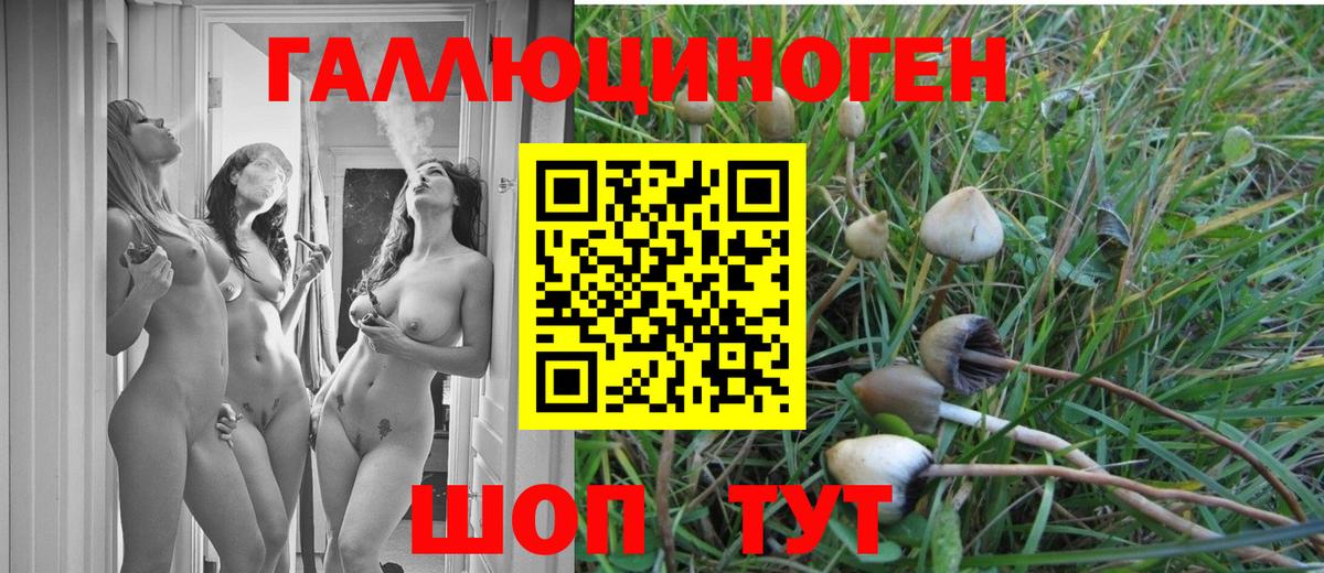 Псилоцибиновые грибы прущие грибы Заинск