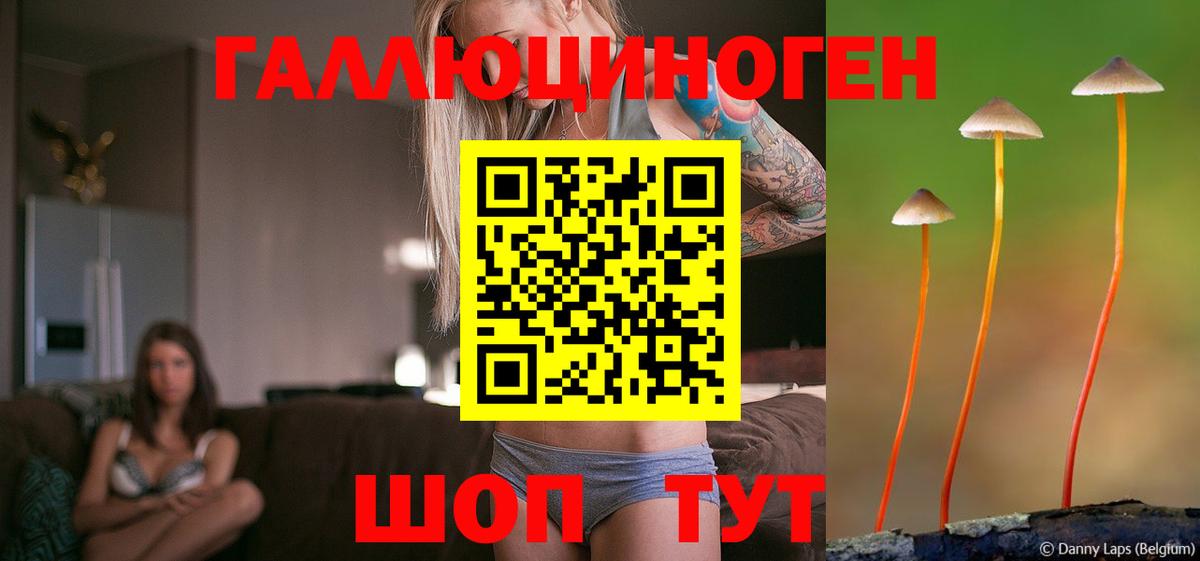 Галлюциногенные грибы GOLDEN TEACHER  Галлюциногенные грибы Psilocybine cubensis  Вход с VPN  Заинск 