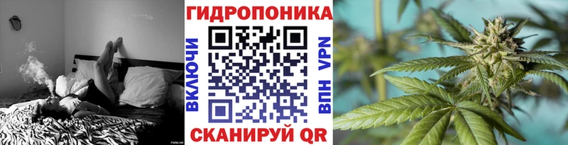 Каннабис индика  Заинск 